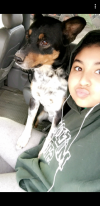 Me and one of our dogs
