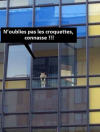El gato de la vecina.....